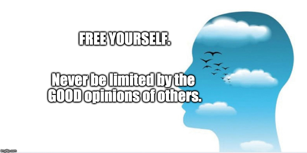 FREE YOURSELF. Never be limited by the 
GOOD opinions of others. | image tagged in words of wisdom | made w/ Imgflip meme maker