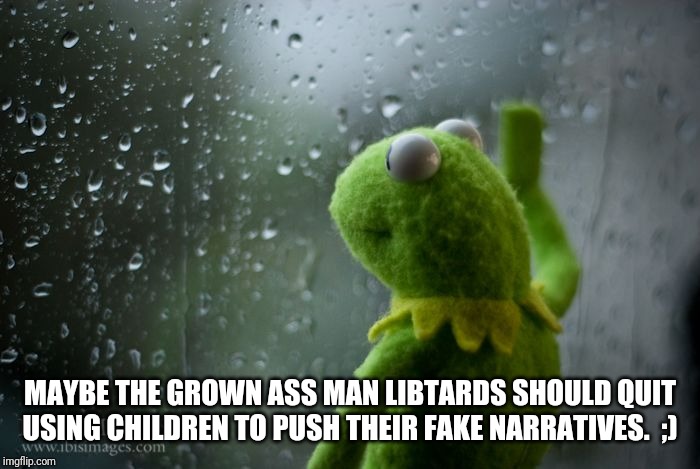 kermit window | MAYBE THE GROWN ASS MAN LIBTARDS SHOULD QUIT USING CHILDREN TO PUSH THEIR FAKE NARRATIVES.  ;) | image tagged in kermit window | made w/ Imgflip meme maker
