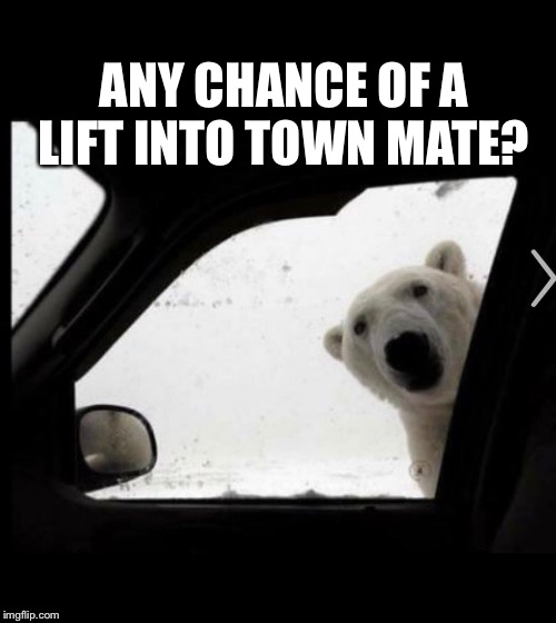 Annoying friends |  ANY CHANCE OF A LIFT INTO TOWN MATE? | image tagged in cars | made w/ Imgflip meme maker