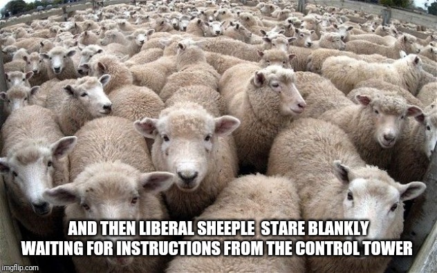 sheeple | AND THEN LIBERAL SHEEPLE  STARE BLANKLY WAITING FOR INSTRUCTIONS FROM THE CONTROL TOWER | image tagged in sheeple | made w/ Imgflip meme maker