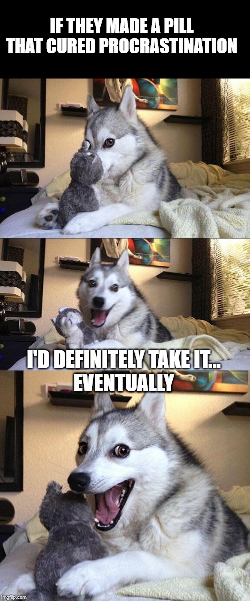 Bad Pun Dog Meme | IF THEY MADE A PILL THAT CURED PROCRASTINATION; I'D DEFINITELY TAKE IT...
EVENTUALLY | image tagged in memes,bad pun dog | made w/ Imgflip meme maker