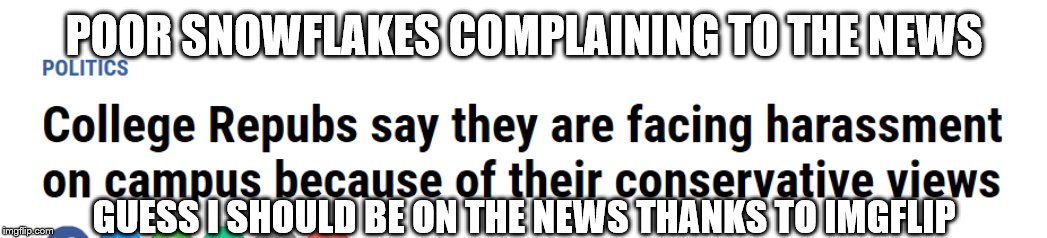 Conservative snowflakes | POOR SNOWFLAKES COMPLAINING TO THE NEWS; GUESS I SHOULD BE ON THE NEWS THANKS TO IMGFLIP | image tagged in conservative snowflakes | made w/ Imgflip meme maker