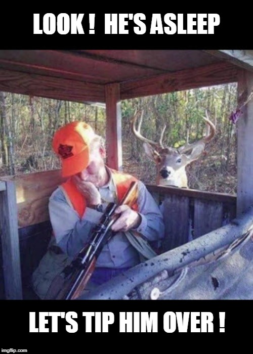 Human Tipping | LOOK !  HE'S ASLEEP; LET'S TIP HIM OVER ! | image tagged in sleeping hunter,funny memes,deer,hunting season | made w/ Imgflip meme maker