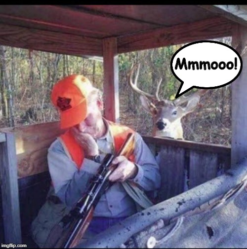 Mmmooo! | Mmmooo! | image tagged in funny memes,sleeping,hunter,hunting season,cow | made w/ Imgflip meme maker