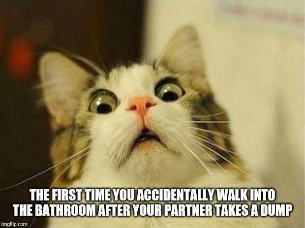 Scared Cat | THE FIRST TIME YOU ACCIDENTALLY WALK INTO THE BATHROOM AFTER YOUR PARTNER TAKES A DUMP | image tagged in memes,scared cat | made w/ Imgflip meme maker