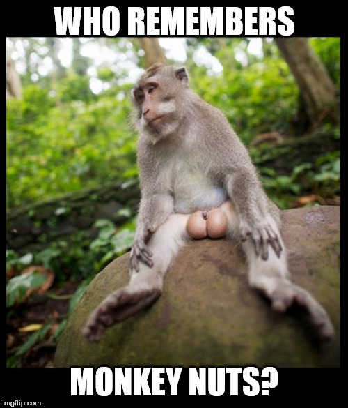 Balls Nuts Funny WHO REMEMBERS; MONKEY NUTS? image tagged in laughing men i...