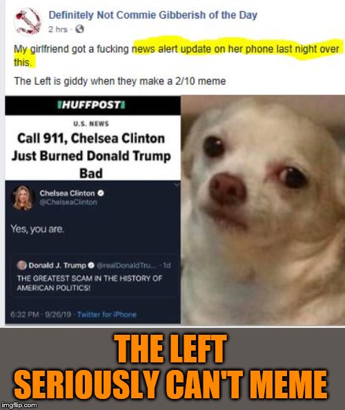 The wit of Chelsea Clinton at it's best |  THE LEFT SERIOUSLY CAN'T MEME | image tagged in left can't meme,chelsea clinton,huffpost,so bad | made w/ Imgflip meme maker