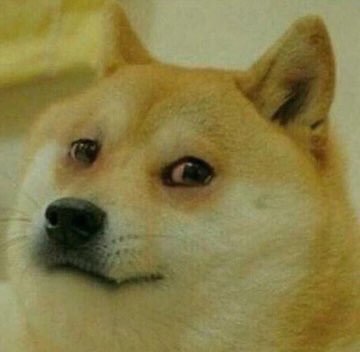 High Quality tired doge Blank Meme Template