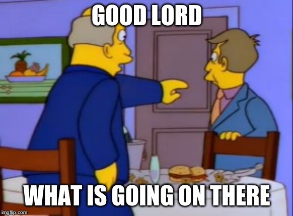 Good Lord Steamed Hams | GOOD LORD; WHAT IS GOING ON THERE | image tagged in good lord steamed hams | made w/ Imgflip meme maker