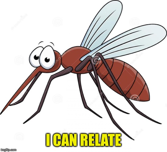 cute mosquito | I CAN RELATE | image tagged in cute mosquito | made w/ Imgflip meme maker