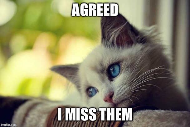 First World Problems Cat Meme | AGREED I MISS THEM | image tagged in memes,first world problems cat | made w/ Imgflip meme maker