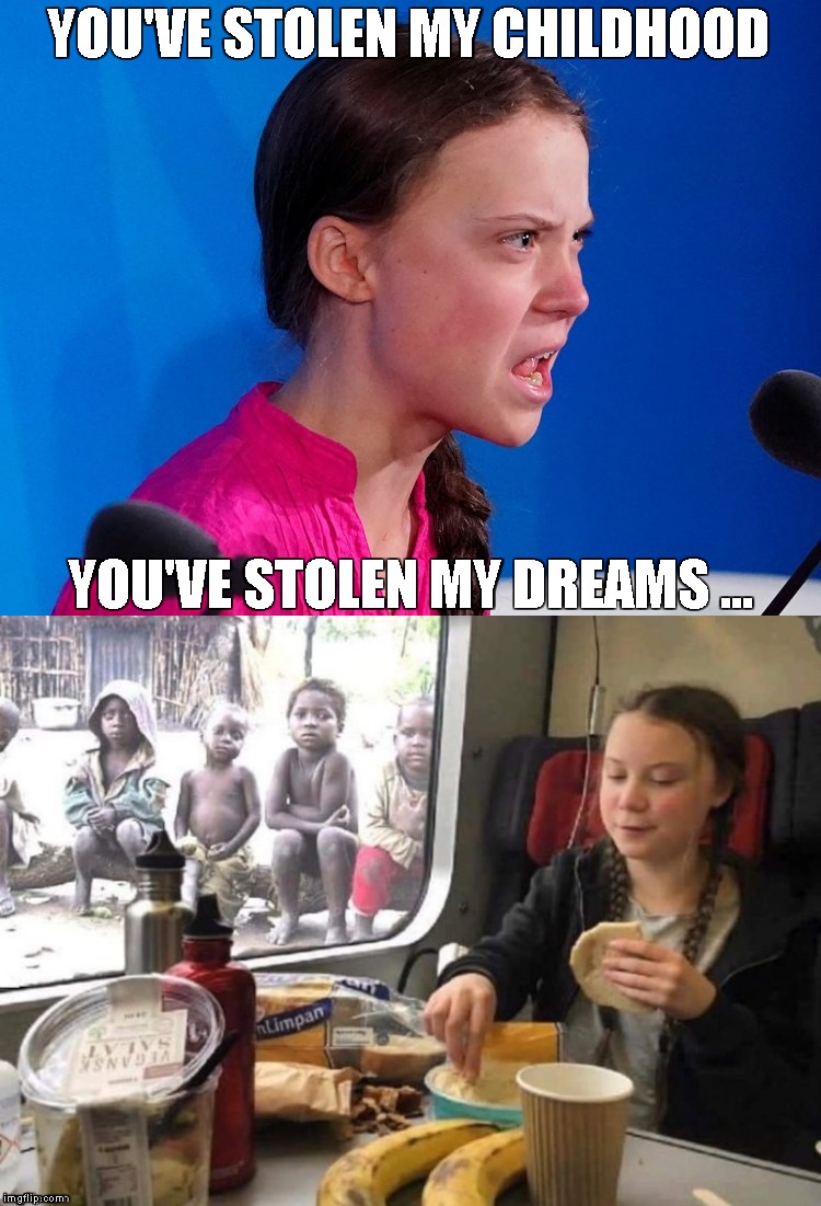 Childhood Dreams | YOU'VE STOLEN MY CHILDHOOD; YOU'VE STOLEN MY DREAMS ... | image tagged in memes,greta thunberg,how dare you | made w/ Imgflip meme maker