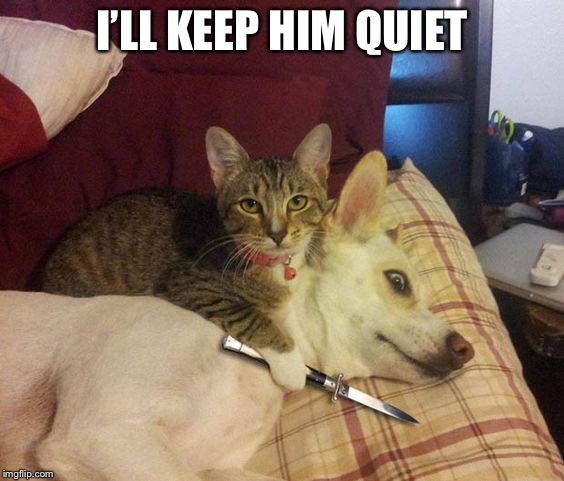 Cat knife Dog | I’LL KEEP HIM QUIET | image tagged in cat knife dog | made w/ Imgflip meme maker