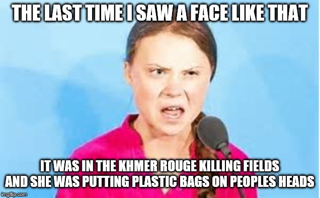 THE LAST TIME I SAW A FACE LIKE THAT; IT WAS IN THE KHMER ROUGE KILLING FIELDS AND SHE WAS PUTTING PLASTIC BAGS ON PEOPLES HEADS | image tagged in democrats,environment | made w/ Imgflip meme maker