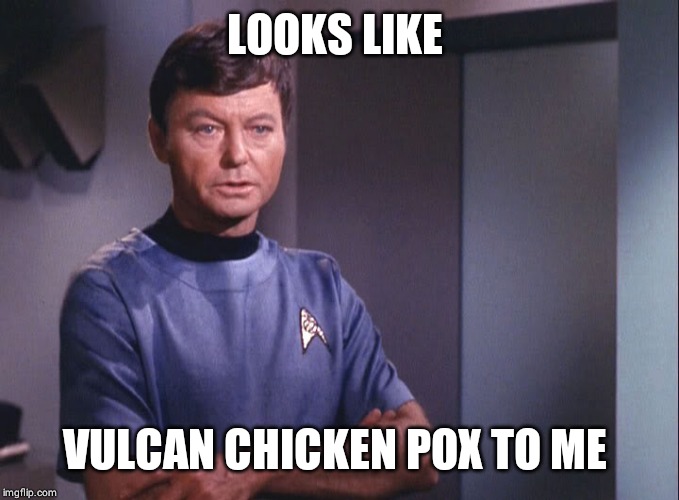 Dr. McCoy | LOOKS LIKE VULCAN CHICKEN POX TO ME | image tagged in dr mccoy | made w/ Imgflip meme maker