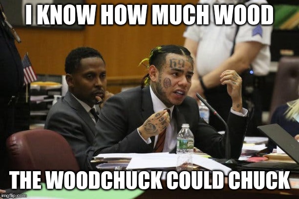 Tekashi snitching | I KNOW HOW MUCH WOOD; THE WOODCHUCK COULD CHUCK | image tagged in tekashi snitching | made w/ Imgflip meme maker