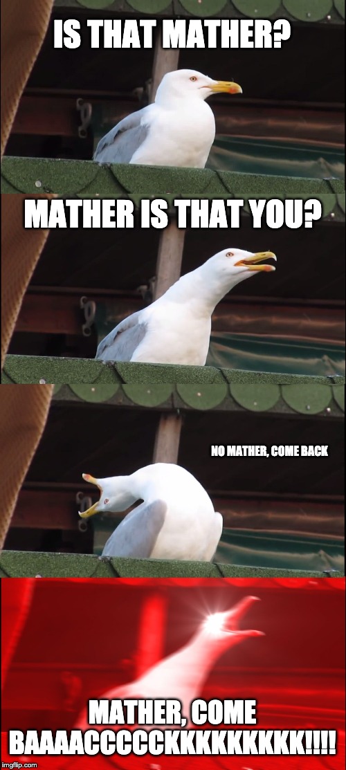 Inhaling Seagull Meme | IS THAT MATHER? MATHER IS THAT YOU? NO MATHER, COME BACK; MATHER, COME BAAAACCCCCKKKKKKKKK!!!! | image tagged in memes,inhaling seagull | made w/ Imgflip meme maker
