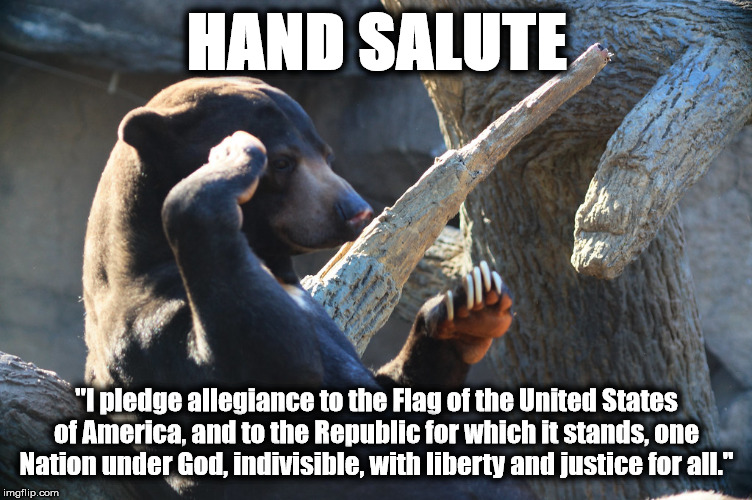 saql | HAND SALUTE; "I pledge allegiance to the Flag of the United States of America, and to the Republic for which it stands, one Nation under God, indivisible, with liberty and justice for all." | image tagged in saql | made w/ Imgflip meme maker
