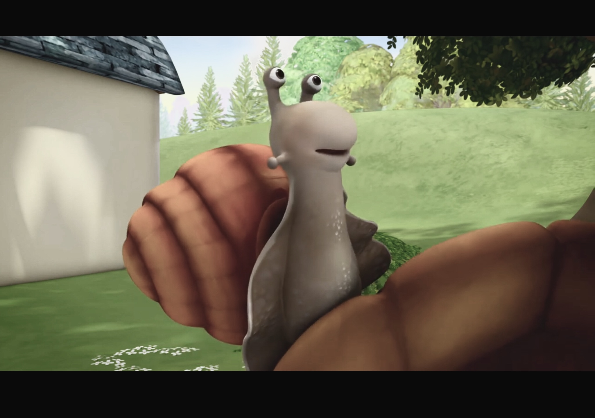 Snail Blank Meme Template