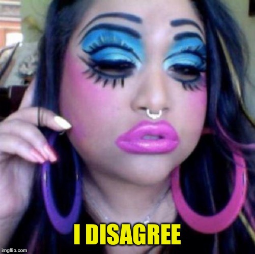 clown makeup | I DISAGREE | image tagged in clown makeup | made w/ Imgflip meme maker