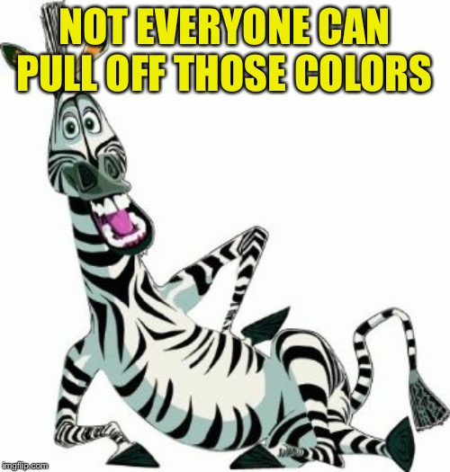 Zebra | NOT EVERYONE CAN PULL OFF THOSE COLORS | image tagged in zebra | made w/ Imgflip meme maker
