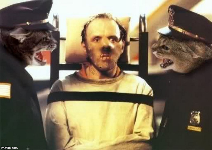 Silence Of The Cats | image tagged in cats,silence of the lambs,hannibal lecter,police,caturday,hannibal lecter silence of the lambs | made w/ Imgflip meme maker