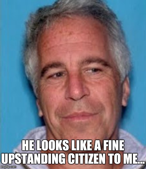 Epstein mugshot | HE LOOKS LIKE A FINE UPSTANDING CITIZEN TO ME... | image tagged in epstein mugshot | made w/ Imgflip meme maker
