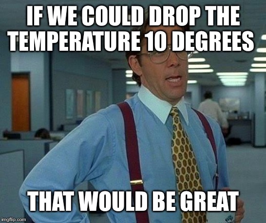 That Would Be Great Meme |  IF WE COULD DROP THE TEMPERATURE 10 DEGREES; THAT WOULD BE GREAT | image tagged in memes,that would be great | made w/ Imgflip meme maker
