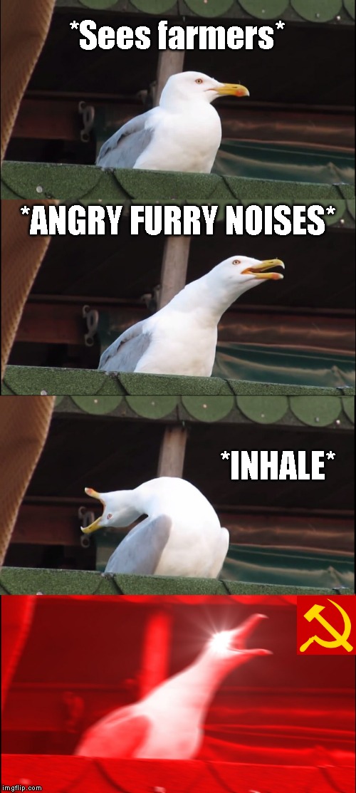 Inhaling Seagull Meme | *Sees farmers*; *ANGRY FURRY NOISES*; *INHALE* | image tagged in memes,inhaling seagull | made w/ Imgflip meme maker