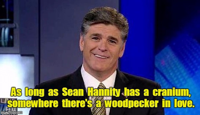 . | image tagged in hannity,dumber than a tree stump,blockhead,woodpecker,idiot | made w/ Imgflip meme maker