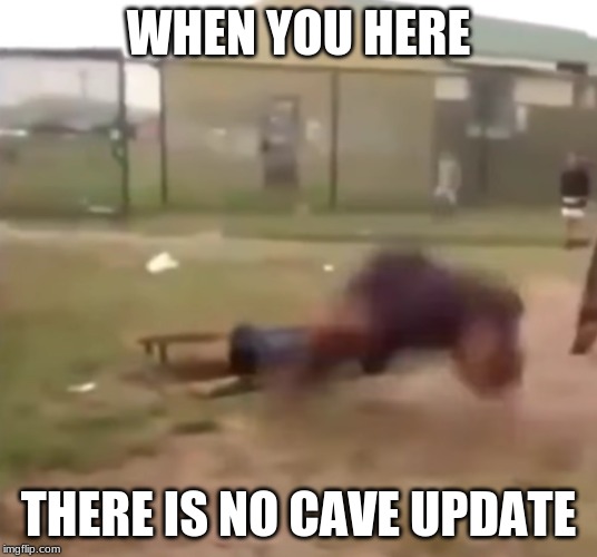 sad | WHEN YOU HERE; THERE IS NO CAVE UPDATE | image tagged in sad | made w/ Imgflip meme maker