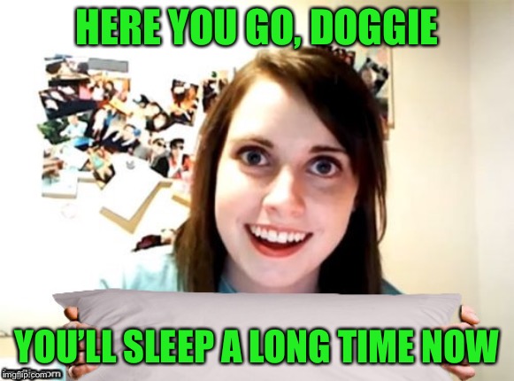 HERE YOU GO, DOGGIE YOU’LL SLEEP A LONG TIME NOW | made w/ Imgflip meme maker