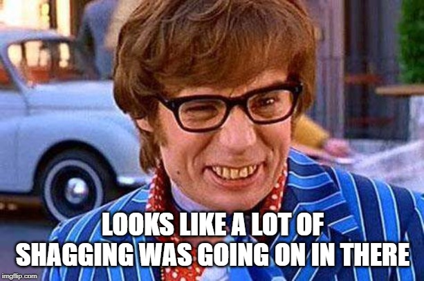 Austin Powers | LOOKS LIKE A LOT OF SHAGGING WAS GOING ON IN THERE | image tagged in austin powers | made w/ Imgflip meme maker
