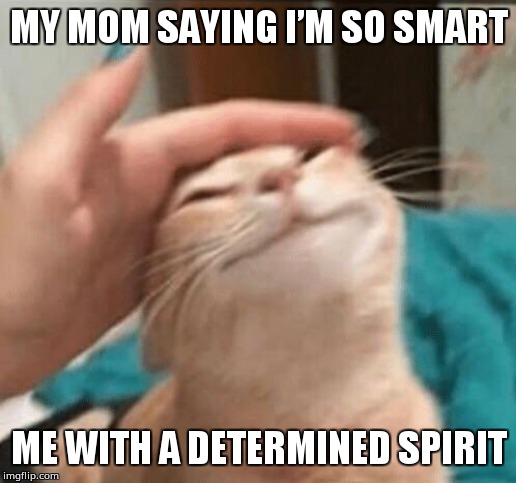 Cat being pet | MY MOM SAYING I’M SO SMART; ME WITH A DETERMINED SPIRIT | image tagged in cat being pet | made w/ Imgflip meme maker