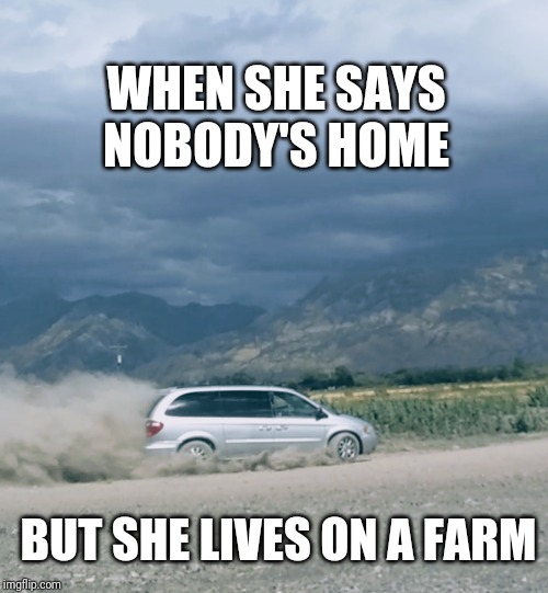 Van drift | WHEN SHE SAYS NOBODY'S HOME; BUT SHE LIVES ON A FARM | image tagged in van drift | made w/ Imgflip meme maker