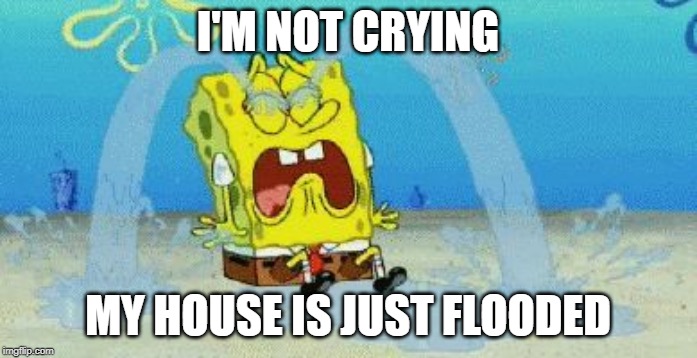 cryin | I'M NOT CRYING MY HOUSE IS JUST FLOODED | image tagged in cryin | made w/ Imgflip meme maker