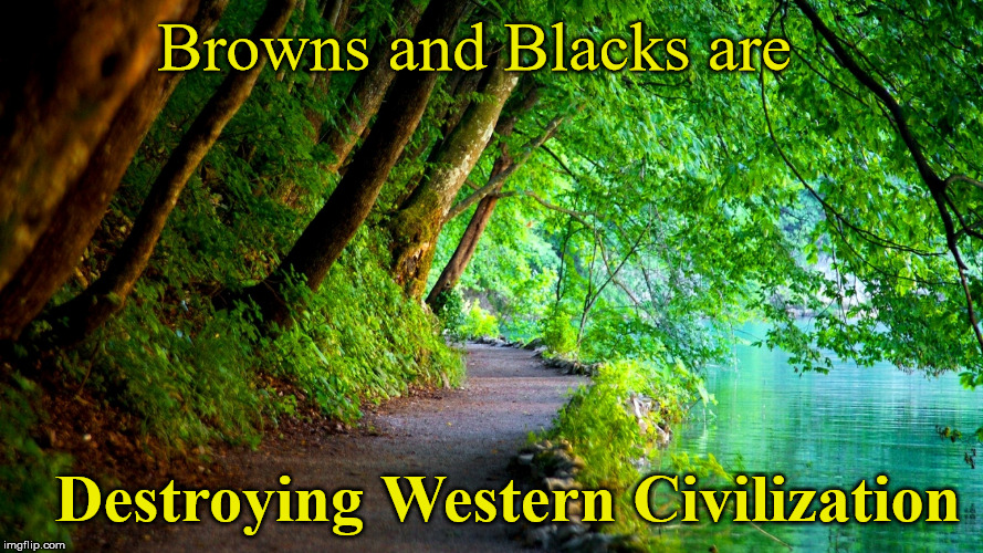 Truth | Browns and Blacks are; Destroying Western Civilization | image tagged in honesty,true,indisputable | made w/ Imgflip meme maker