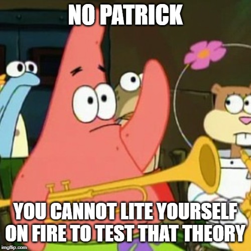 No Patrick Meme | NO PATRICK YOU CANNOT LITE YOURSELF ON FIRE TO TEST THAT THEORY | image tagged in memes,no patrick | made w/ Imgflip meme maker