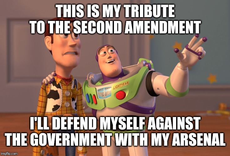 X, X Everywhere Meme | THIS IS MY TRIBUTE TO THE SECOND AMENDMENT; I'LL DEFEND MYSELF AGAINST THE GOVERNMENT WITH MY ARSENAL | image tagged in memes,x x everywhere | made w/ Imgflip meme maker