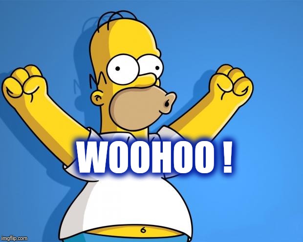 Woohoo Homer Simpson | WOOHOO ! | image tagged in woohoo homer simpson | made w/ Imgflip meme maker