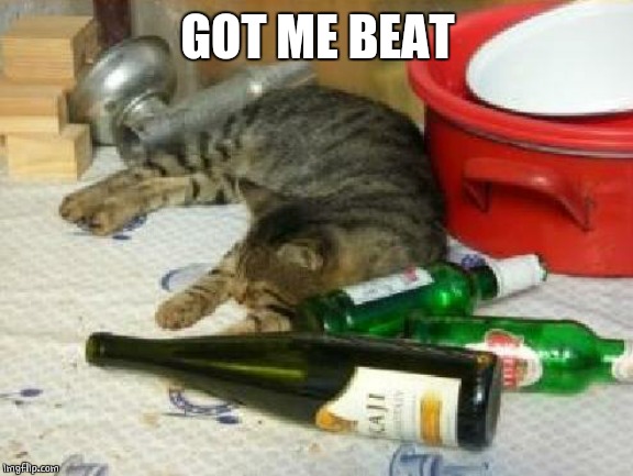 Party cat | GOT ME BEAT | image tagged in party cat | made w/ Imgflip meme maker