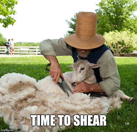 TIME TO SHEAR | made w/ Imgflip meme maker