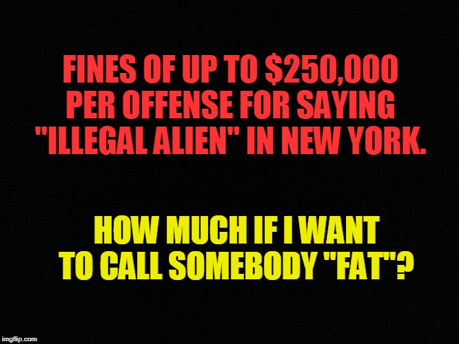Whatever happened to "sticks and stones"....? | FINES OF UP TO $250,000 PER OFFENSE FOR SAYING "ILLEGAL ALIEN" IN NEW YORK. HOW MUCH IF I WANT TO CALL SOMEBODY "FAT"? | image tagged in politics,political meme,political,politics lol,political correctness,political humor | made w/ Imgflip meme maker