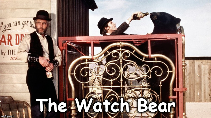 watch | The Watch Bear | image tagged in watch | made w/ Imgflip meme maker