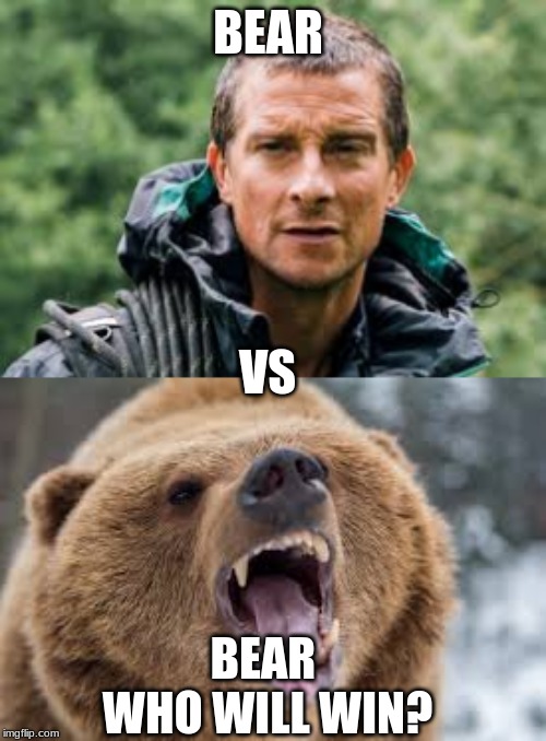 Who will win | BEAR; VS; BEAR 
WHO WILL WIN? | image tagged in memes,funny,bear grylls,bear | made w/ Imgflip meme maker