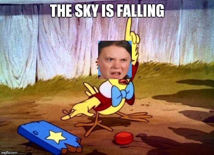 "Chicken little" | THE SKY IS FALLING | image tagged in greta thunberg | made w/ Imgflip meme maker