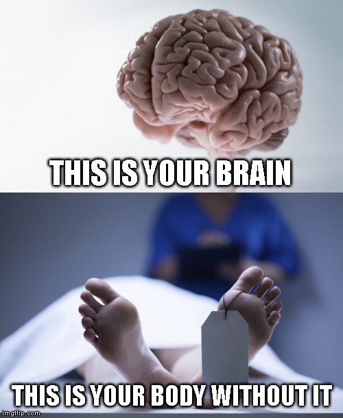 THIS IS YOUR BRAIN; THIS IS YOUR BODY WITHOUT IT | image tagged in toe tag | made w/ Imgflip meme maker