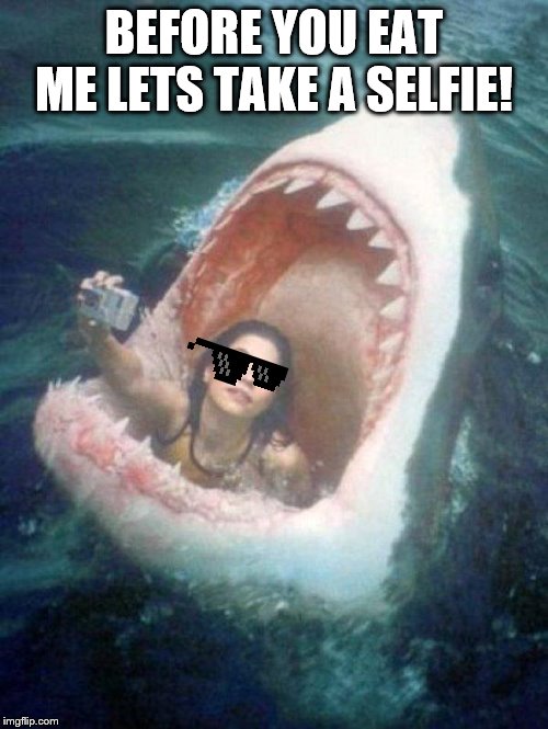 Shark | BEFORE YOU EAT ME LETS TAKE A SELFIE! | image tagged in shark | made w/ Imgflip meme maker