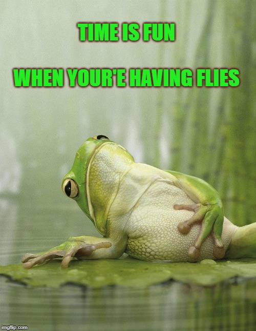 Full Frog | TIME IS FUN
 
WHEN YOUR'E HAVING FLIES | image tagged in full frog | made w/ Imgflip meme maker