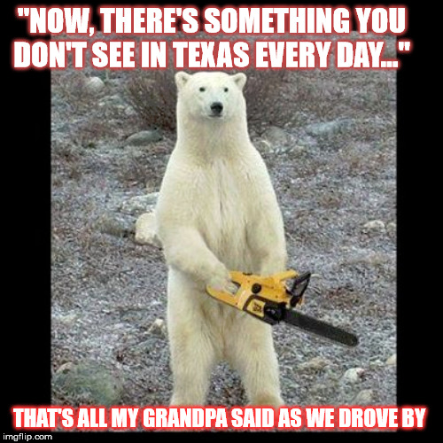 Texas | "NOW, THERE'S SOMETHING YOU DON'T SEE IN TEXAS EVERY DAY..."; THAT'S ALL MY GRANDPA SAID AS WE DROVE BY | image tagged in memes,chainsaw bear,smokey the bear,texas,polar bear | made w/ Imgflip meme maker